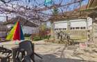 Casă cu 3 camere din văiugă în Macea - 13