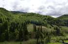 Extravilan + Intravilan | Sătic-Rucăr | Cadru natural | Turistic - 6