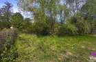 Teren intravilan premium 617mp | Padurea Dumbrava - 6