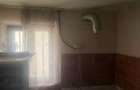Casă de vânzare, 60 mp, sat Braneț, comuna Bârza - 7
