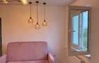 Apartament 2 camere Drumul Taberei, vis-a-vis Parc Moghioroș, direct proprietar - 8