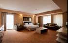 Vanzare Hotel Oxford 3* Timisoara/681 Euro/mp construit - 2