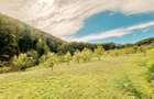 Teren 5.600 mp – Liniște, Natură și Verdeață | 10€/mp - Comision 0% - 7