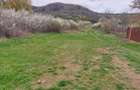 Teren Topoloveni - 3670 mp - langa padure, aproape de Centrul orasului - 2