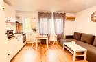 Apartament 2 camere Auchan Vitan, stradal, CENTRALA, mobilat si utilat modern - 2
