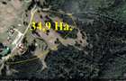 Comision O ! Zona POIANA BRASOV, 34,9 Ha. teren intravilan, ideal investitie - 1
