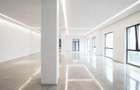 Spatiu comercial de inchiriat – 150 mp – zona Barnutiu / Decebal, Oradea - 5