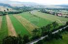 Teren 10,000mp Nemtisor / DJ 155C - 7