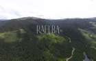7831mp Padure | 1200mp construbili | 5.min Partie Transalpina | 177m Lac Vidra - 3