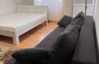 Apartament cu 1 cameră, etajul 1/4, zona Canta - 1