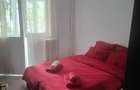 Apartament 3 camere,etaj 1,zona Alexandru cel Bun - 3