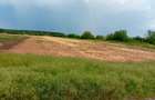 Petrechioaia  Vanzare  Tarla 32  Teren Extravilan  28353mp(3eur/mp) - 3