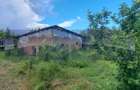 VANZARE CASA | TEREN 2500 MP | LIVADA SI VIE | SAT BREBINA – SCRIOASTEA - 3