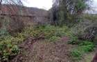 Bogodint, Casa cu 4 Hectare Teren, Pret Negociabil - 32