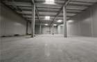 Spatiu Industrial - 3500 mp - Logistica - Productie - Depozitare - Distributie - 5