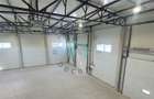 Hala industriala 300 mp Parc Industrial Prejmer,  Brasov - 5