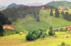 Teren de vis în Fundata 1934mp sau 3868mp, la înălțimea sufletului tău - 1