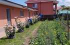 Vila, Republicii, Bacau - 5