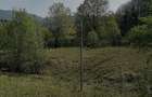 Vanzare teren exceptional, Valea Doftanei, Florei-Secaria, 22000mp, 250 000 euro - 8