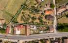 FILM! Casa personalizabila +2.700mp teren,pomi fructiferi,langa Sfantu Gheorghe: - 20