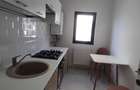 Apartament cu 2 camere decomandat Lunca Cetatuii Cod 150857 - 4