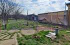 VANZARE CASA 5 CAMERE | TEREN 660 MP | ROSIORI DE VEDE - 4