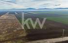 Teren exceptional pentru investitii industriale langa Brasov - 11