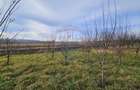 Teren extravilan 10,791mp Falticeni / Strada DJ209A, Opriseni - 3