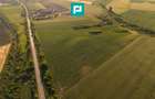 TEREN EXTRAVILAN DE 42.200 MP SECUSIGIU - 9