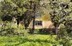 Apartament 3 camere de închiriat-loc de parcare - 7