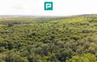 TEREN AGRICOL EXTRAVILAN  22.900 MP LIPOVA - 3