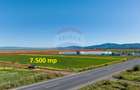 Teren comercial / industrial | 7,500mp Strada Zizinului | Tarlungeni - 10