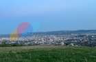 Teren extravilan 1100 mp, view deosebit, zona Lomb(Perlei) - 4