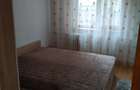 Apartament 3 camere langa Parcul Circului - 8