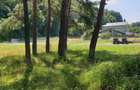 De vanzare CAMPING DARSTE - 20