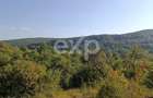 Teren extravilan de vânzare Tigveni | 4.944 mp | Panoramă superbă - 6