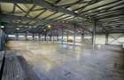 Complex industrial de vanzare – Aricestii Rahtivani, Prahova - 12007mp - 6