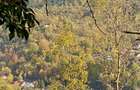 Teren panoramic retras, cu panta lina, utilități si livada - 9