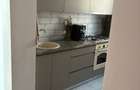 Apartament 2 camere, cu curte Dumbravita - 9