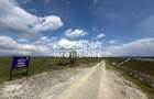 Vânzare teren intravilan - 1070 mp - strada Ciocârlău - spre Preajba - 4
