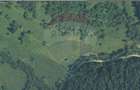 Teren 12,127mp Frasin / Drumul Forestier Valea Seacă - 6