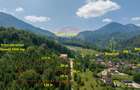 TTeren intravilan, 3500 mp, Dâmbu Morii - 4