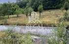 Proprietate cu potențial, într-un cadru natural de vis – 3581 mp teren - 2