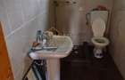 VIla Teisani si 11250 mp teren - 16