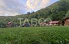Spatiu de vanzare in Valea Macesului judel Valcea iesire la Lotru - 46