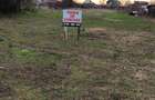 Teren Dinias/Peciu Nou 2 fronturi stradale - 2