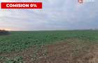 COMISION 0% Teren extravilan agricol 10.000 mp la sosea in Sag - 6