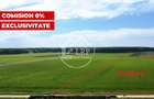 OPORTUNITATE INVESTIȚIE:Teren intravilan 25.000mp Dascălu-Pădure, parcelabil - 1
