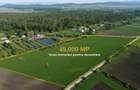 TEREN 45.000 MP | PUZ APROBAT | 156 M FRONT DN11 | PREJMER - BRASOV - 2
