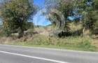 Teren Intravilan constructii 1300 mp - 20 ml deschidere | 17 km | Sibiu - 3